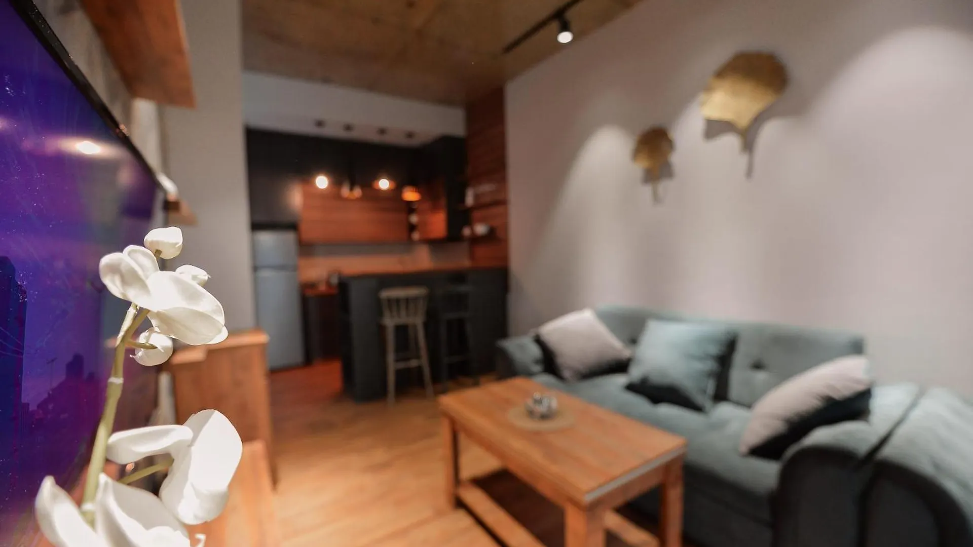 Cozy And Peaceful Apartment For Travelling Tbilisi